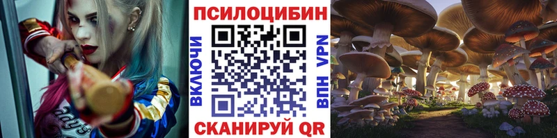 где купить   Бокситогорск  KRAKEN зеркало  Псилоцибиновые грибы GOLDEN TEACHER 
